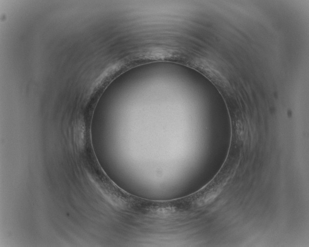 X0000074230304200609011248