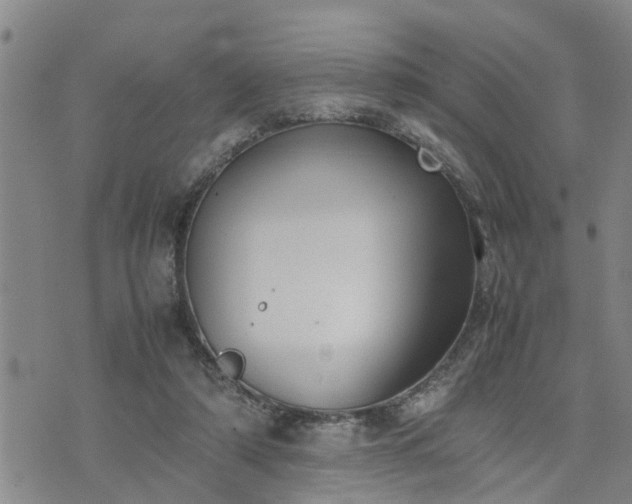 X0000074230306200609011248