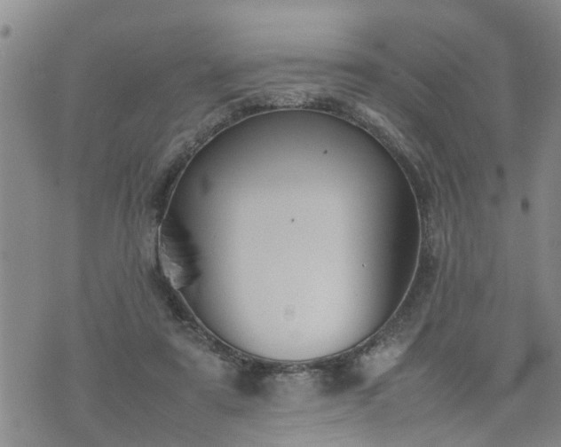 X0000074230307200609011248