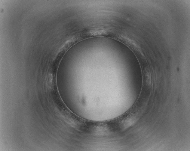 X0000074230308200609011248