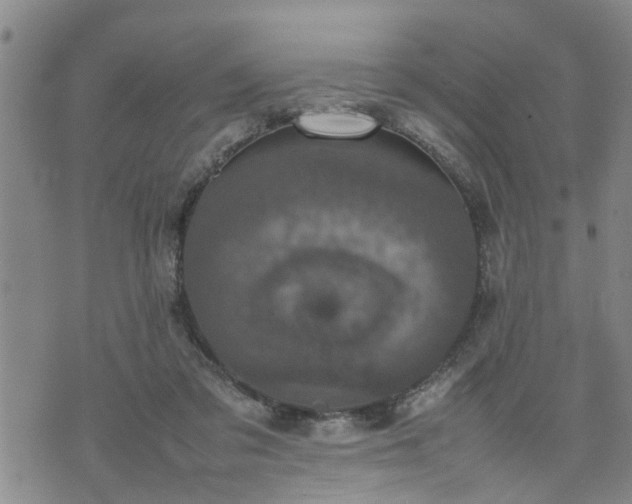 X0000074230309200609011248