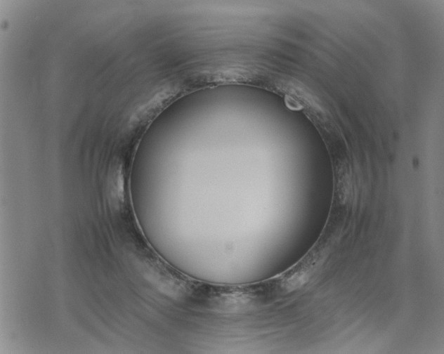 X0000074230310200609011248