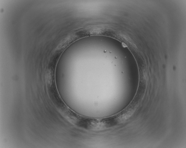 X0000074230311200609011248