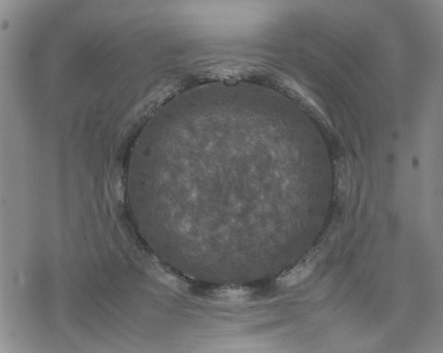 X0000074230313200609011248