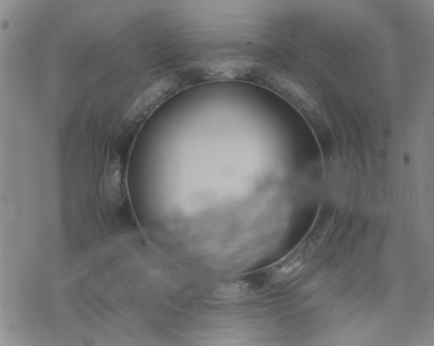 X0000074230314200609011248