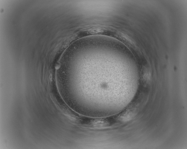 X0000074230315200609011248