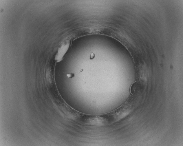 X0000074230316200609011248