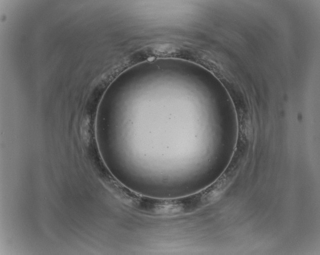 X0000074230319200609011248