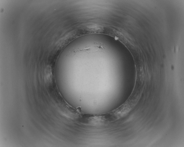 X0000074230320200609011248