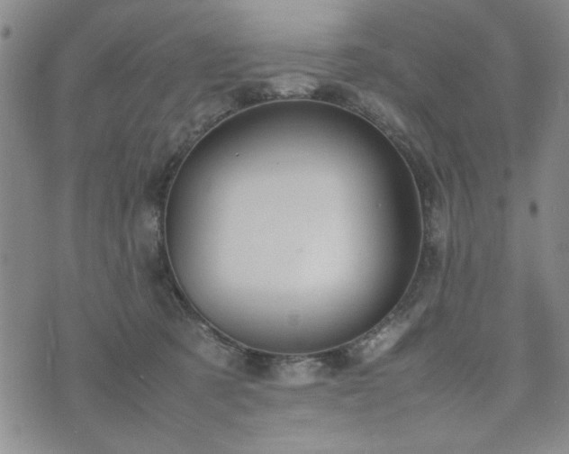 X0000074230321200609011248