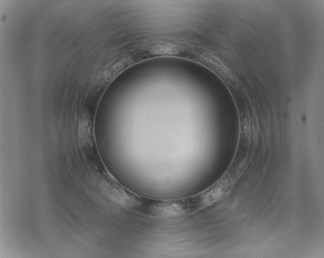 X0000074230322200609011248