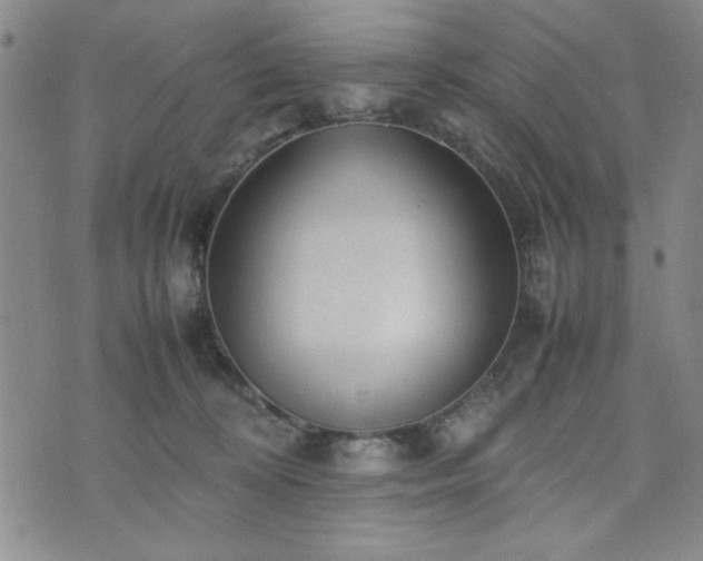 X0000074230324200609011248