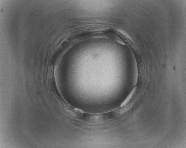 X0000074230325200609011248