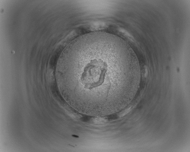 X0000074230327200609011248