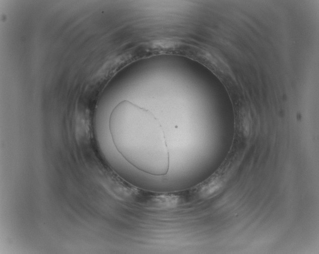 X0000074230328200609011248