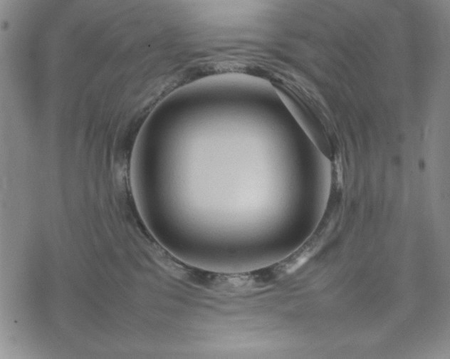 X0000074230329200609011248