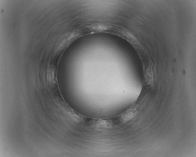 X0000074230330200609011248