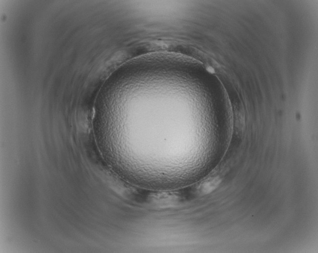 X0000074230331200609011248