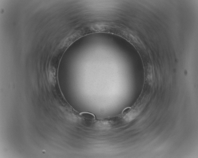 X0000074230332200609011248