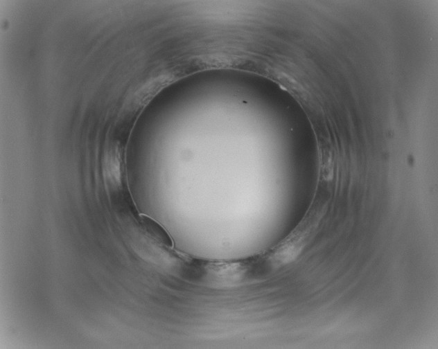 X0000074230334200609011248