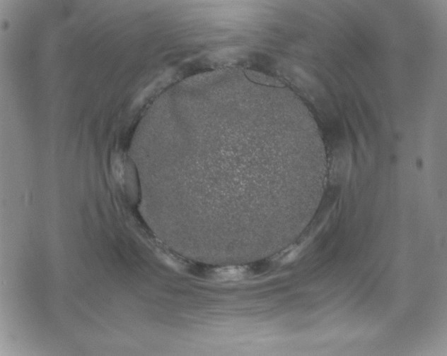 X0000074230335200609011248