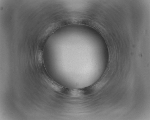 X0000074230336200609011248