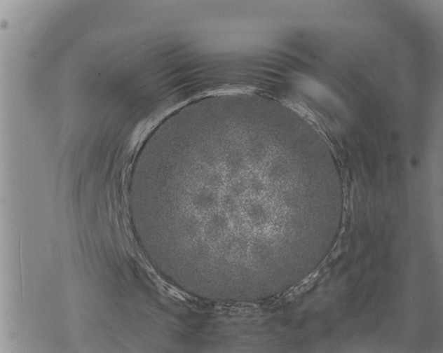 X0000074230337200609011247