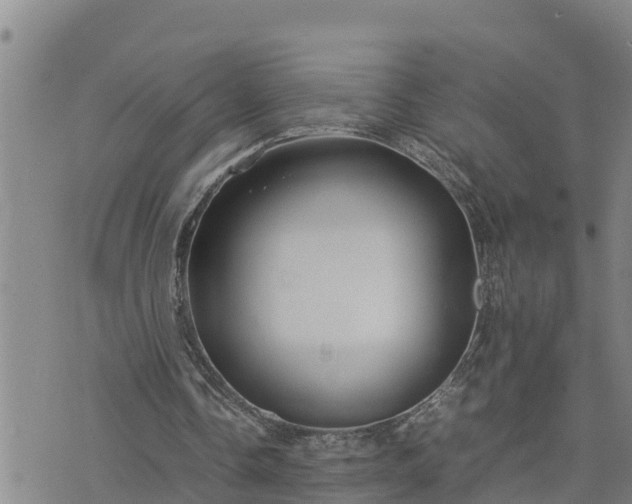 X0000074230338200609011247