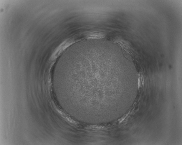 X0000074230339200609011247