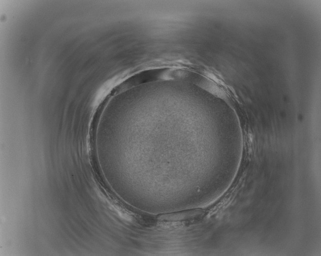 X0000074230340200609011247