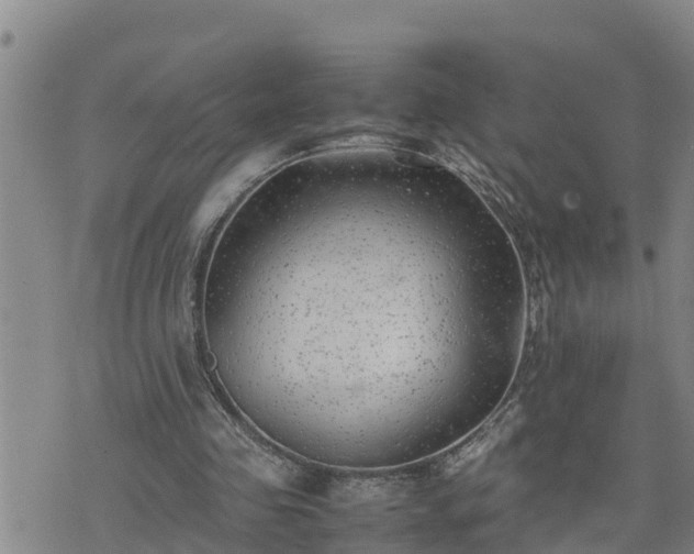 X0000074230341200609011247