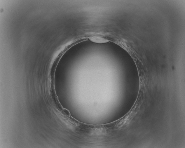 X0000074230342200609011247