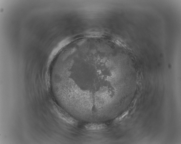 X0000074230343200609011247