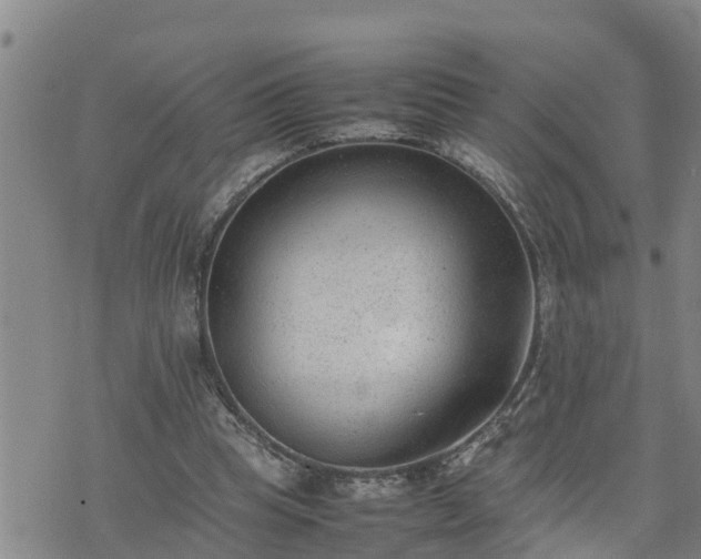 X0000074230345200609011247