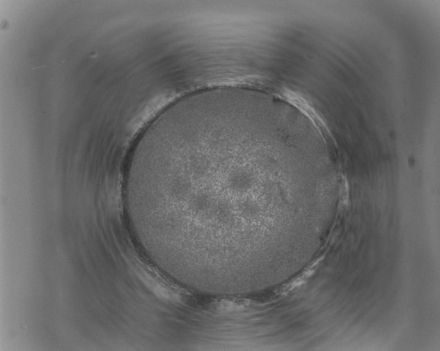 X0000074230346200609011247