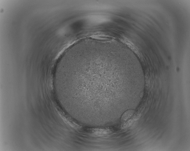 X0000074230347200609011247