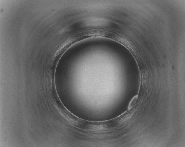 X0000074230349200609011247