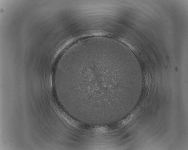 X0000074230350200609011247