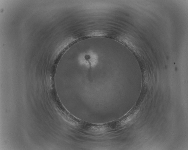 X0000074230351200609011247