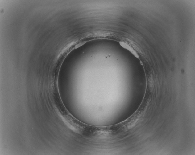 X0000074230352200609011247