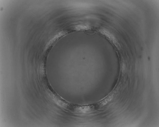 X0000074230353200609011247