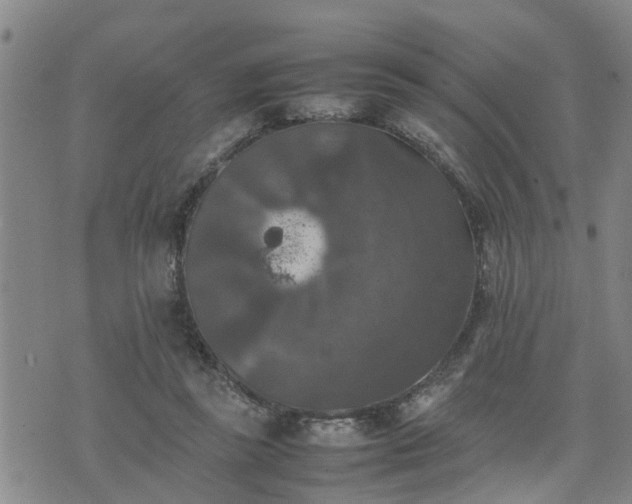 X0000074230355200609011247