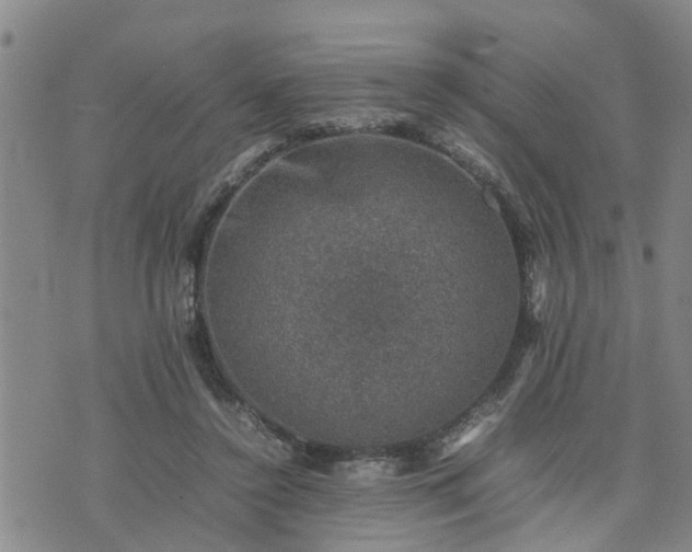 X0000074230356200609011247