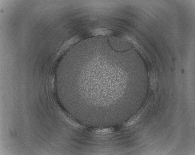 X0000074230357200609011247