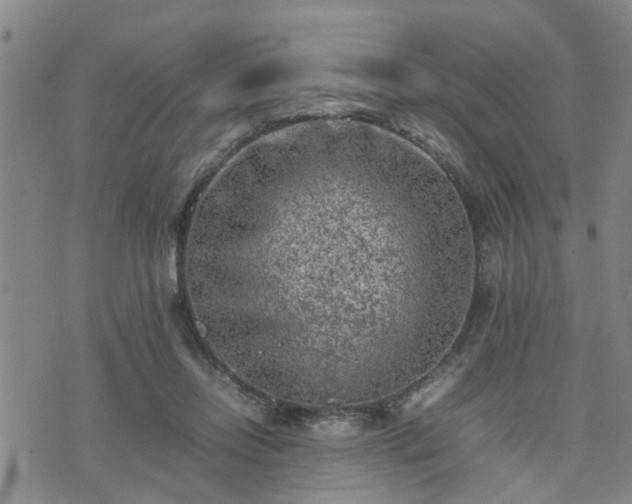 X0000074230358200609011247