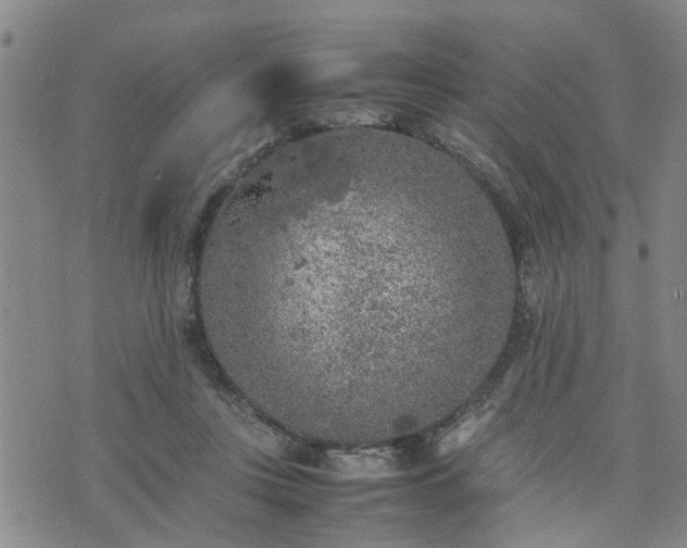 X0000074230359200609011247