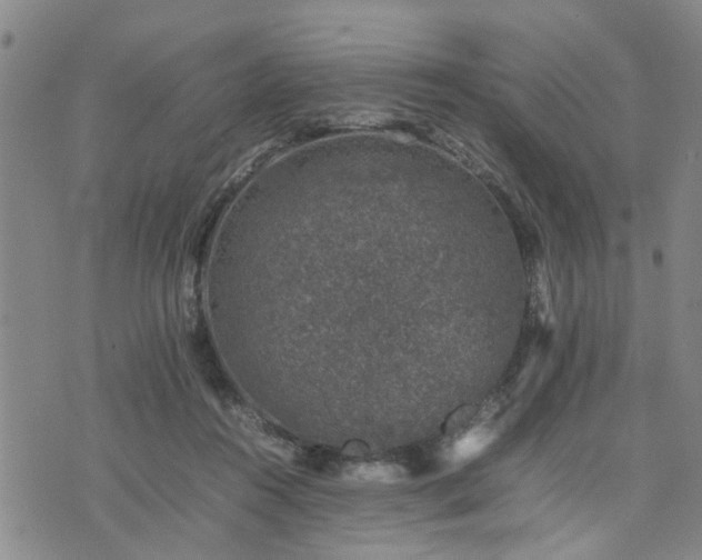 X0000074230360200609011247