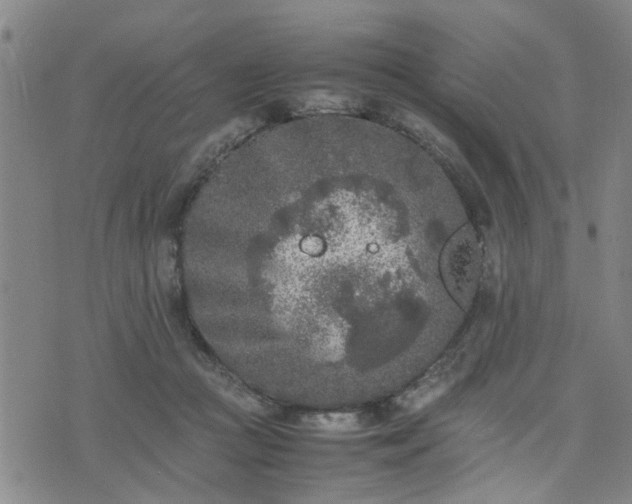 X0000074230361200609011247