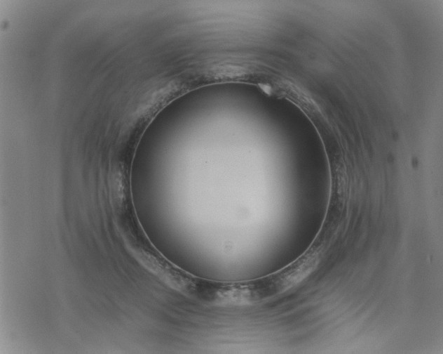 X0000074230362200609011247