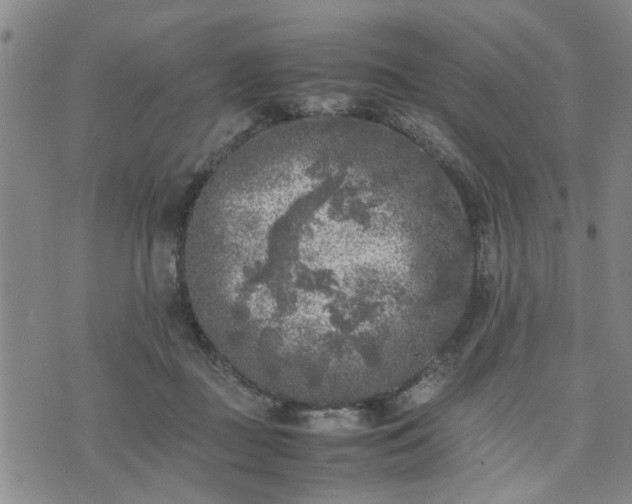 X0000074230363200609011247